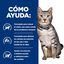 12 sobres x 80 g Hill's Prescription Diet Urinary Stress + Metabolic Pollo sobre para gatos, , large indicador imagen numero 4